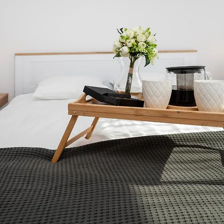 Apartament Pomorska - 50m2 With Balcony - By Rentujemy Łódź